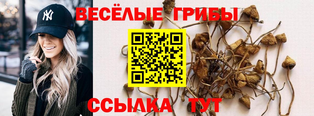 Янаул  где купить наркоту  Псилоцибиновые грибы прущие грибы  Вход с VPN  Псилоцибиновые грибы ЛСД 